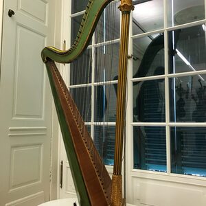 Harfe im Louis Spohr Museum